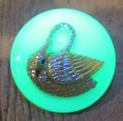1 - Czech Glass Vaseline/Uranium Gold Swan On A Mint Green Button #11 - 25.40mm • $15