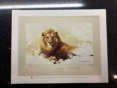 David Shepherd Lion And Tiger Limited Edition Signed Prints • £99.99