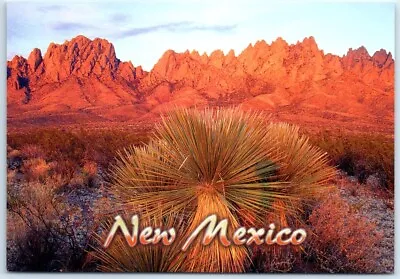 Postcard Organ Mountains New Mexico USA North America • $6.29