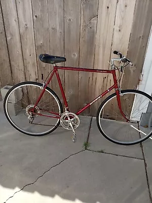 Vintage 1980's Nishiki Custom Sport Vintage Road Bike Burgundy Local Pickup • $200