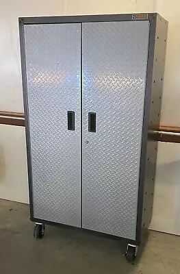 Metal Storage Cabinet With Doors • $220