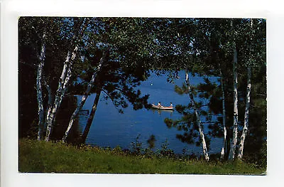 $5.50 • Buy Greetings From Princeton MN Minn (Mille Lacs, Sherburne Co) Birches By Lake 1957