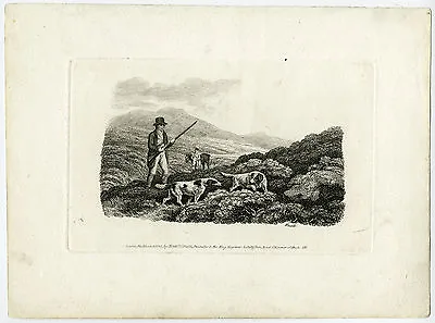 £157.50 • Buy Antique Master Print-HUNTING-LANDSCAPE-DOGS-Howitt-1810