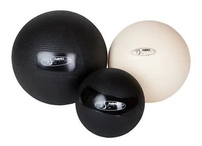 $14.95 • Buy FitBALL Body Therapy Ball Exercise Rehab  (Single)