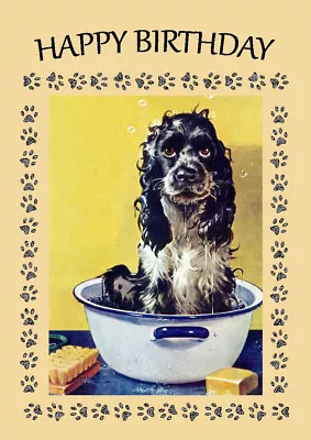 Cocker Spaniel Having A Bath Comic Dog  Birthday Greetings Note Card  • £2.50