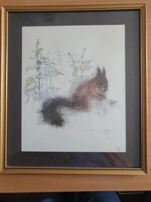 £40 • Buy Wildlife Signed Prints By Mads Stage X 3