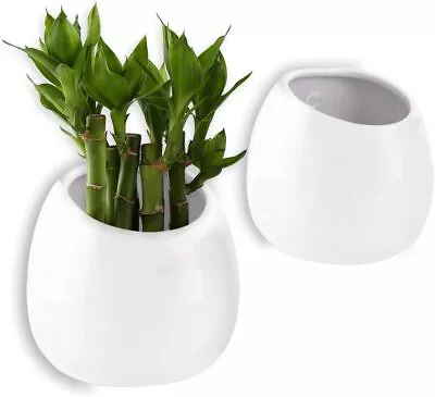 T4U 10CM Wall Mounted Ceramic Plant Pots Pack Of 2 Small Wall Planter For Su... • £20.64