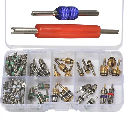 102pcs Car R12 & R134a A/C Air Conditioner Schrader Valve Core Remover Tool Kit • $13.99