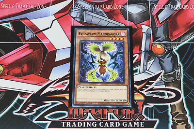 YuGiOh Evilswarm Mandragora EGO1-EN012 1st Edition Common • $1