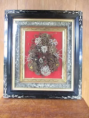 Antique Victorian Human Hair Mourning Art Picture Shadow Box Frame • $100