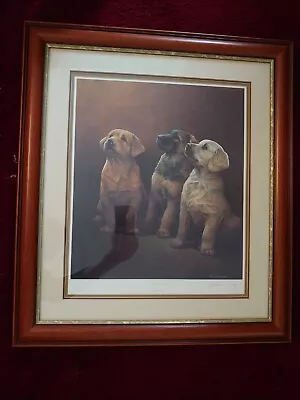 £69.99 • Buy Signed And Framed Nigel Hemming GUIDING LIGHTS Labrador Retriever