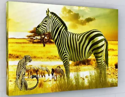 Zebra Africa Animals Canvas Picture Print Wall Art Framed 20 X30  • £24.95
