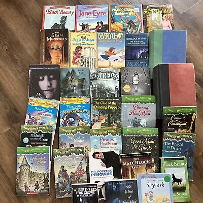 Lot Of 33 Children's Kids Chapter Books Instant Library Grades 2nd-5th • $12