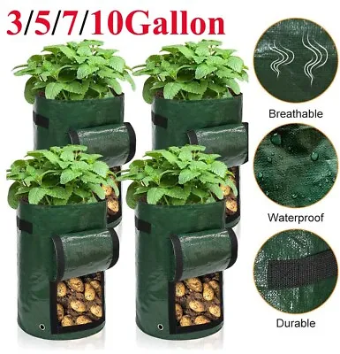 10 Gallon Garden Plant Growing Bag For Tomato Potato Carrot Vegetable 1-10 Pack • £4.59