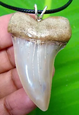 Mako Shark Tooth Necklace - 1.85 Inches - Real Mako Fossil - Shark Teeth • $38