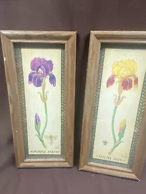 Wall Decor Vintage Pictures Of Purple Iris & Yellow Iris Wooden Frame Set Of 2 • $15.99