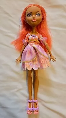 Monster High Doll-Pink And Gold  Hair • $9.99