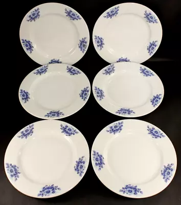 Ter Steege Bv Delft Blauw Holland * Set Of 6 * Salad Plates Blue Flowers 7 5/8  • $45