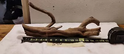 #276 Unique Manzanita Driftwood • $42