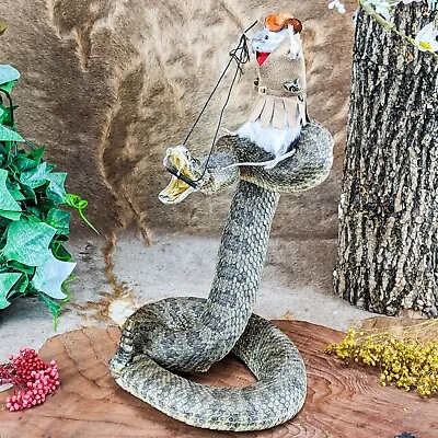 $339.99 • Buy Z60a Real Mouse Real Rattlesnake Cowboy Round-up Taxidermy Curiosities Oddities