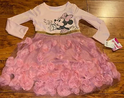 Disney Minnie Mouse Pink With Gold Trim Tutu Floral  Dress Girls Size 3T • $14.99