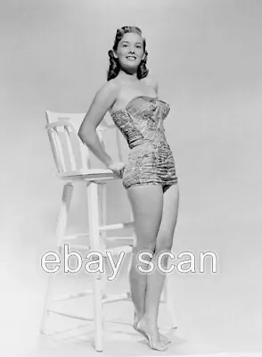 Actress Vera Miles  Leggy Cheesecake    8x10 Photo 14 • $14.99