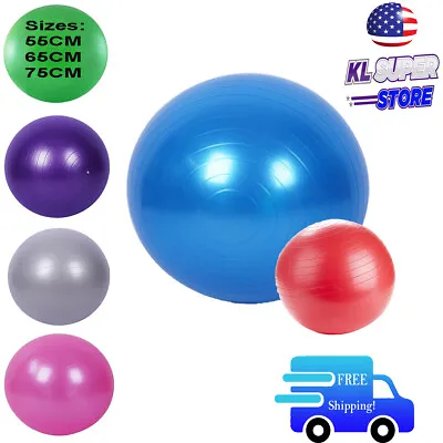 $18.90 • Buy New Exercise Workout Fitness Yoga Sculpting Balance Ball Pump Included FREE S&H!