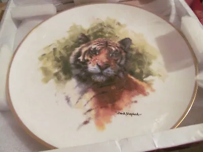 DAVID SHEPHERD COLLECTORS TIGER PLATE 1970s DECORATION ONLY • £10