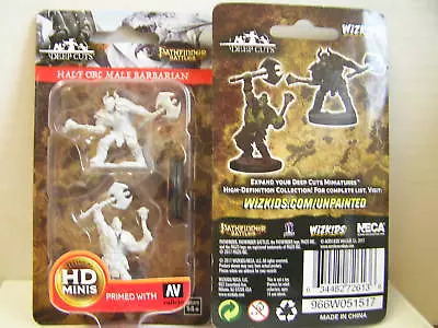 WZK72613 - Pathfinder Deep Cuts - Unpainted Miniatures - Half-Orc Male Barbarian • £5.99