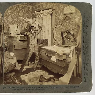 Lizard Man Masquerade Party Stereoview C1901 Bedroom Vanity Mirror Mask H1130 • $32.95