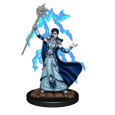 $20.95 • Buy Dungeons & Dragons Premium Female Elf Wizard Pre-Painted Figure