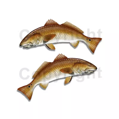 Redfish Sticker Decal Fishing RV Boat Car Truck Camper Trailer F053 2 Pack • $2.99