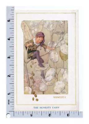 Tarrant Fairy Postcard - Honesty Plant - Medici Soc - The Fairies In Our Garden • $13.99