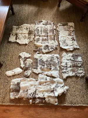 Rabbit Fur Pelts White With Brown Markings Lot • $90