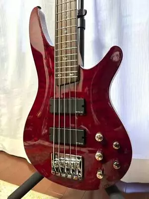 Ibanez Sdgr Wine Red Tiger Eye Active 5 String • $657.87