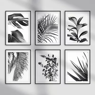 Black And White Botanical Tropical Wall Art Prints Living Room Bedroom Pictures • £3.49