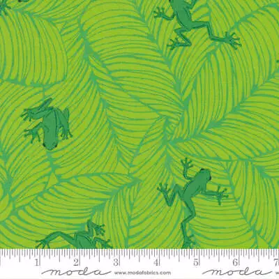 Moda JUNGLE PARADISE Seedling 20786 19 Quilt Fabric By The Yard - Stacy Iest Hsu • $11.25