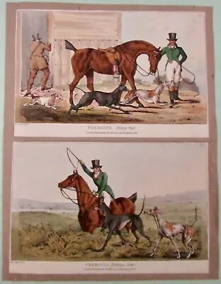 Henry Alken Set 6 Original Coursing Prints 1824 Never Framed Very Fresh Fox Hunt • £231.62