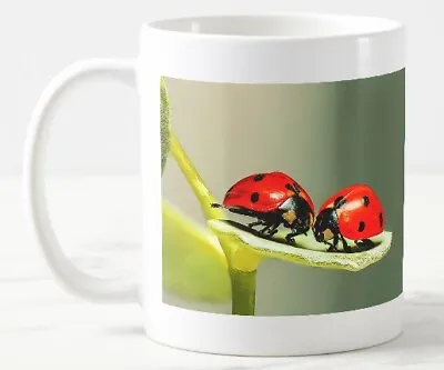 Ladybirds Mug/Cup Tea/Coffee Mug Insects • £8.99