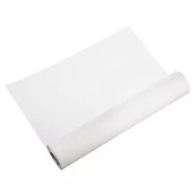 Xuan Paper Roll Rice Paper Without Grid 20in X 164ft Raw Xuan White • $53.54