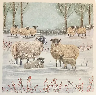 CHARITY CHRISTMAS CARD~GATHERING SHEEP~COUNTRYSIDE~SEE DESCR~145mm~SINGLE CARD • £2.20