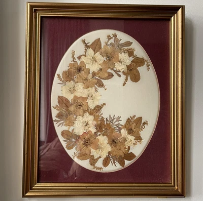 £5 • Buy Dried Flower Picture By Joanna Sheen. 29cm X 24cm. Faded, But Still Beautiful. 