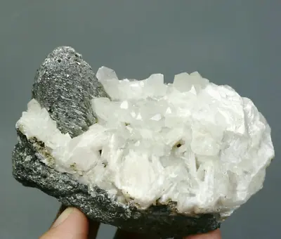 $77.99 • Buy 1.6lb Manganocalcite On Arsenopyrite Lollingite Molybdenite Coating Cassiterite