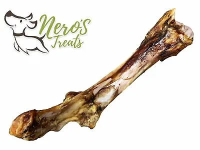 Big Dog Bones Large T-Rex Beef Bones 14-17'' (2 Huge Bones) • $18.68