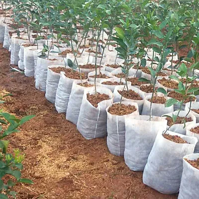 £3.25 • Buy 100Pcs Biodegradable Non-woven Nursery Bag Pot Plant Grow Bags Fabric Pots Pouch