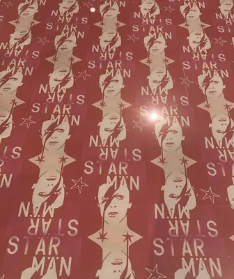 £59.99 • Buy Pure Evil David Bowie Starman Framed