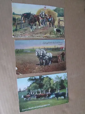 £1.99 • Buy 3  Postcards - Horses (Golden Harvest, Ploughing) & Cattle