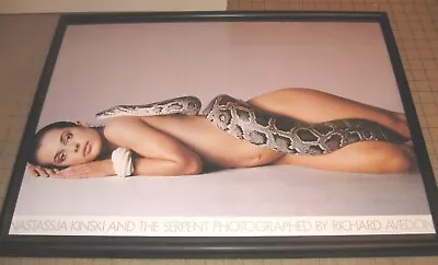 NASTASSJA KINSKI And The Serpent By Richard Avedon 24  X 18  Glass Framed Poster • $200