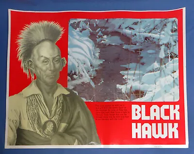 Rare Vintage 1974 Black Hawk Educational Aid Poster Perfection Form Co VG • $24.99