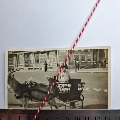 Vintage Photograph  Goat Cart  Or Hand Cart Little Girl  • $6.15